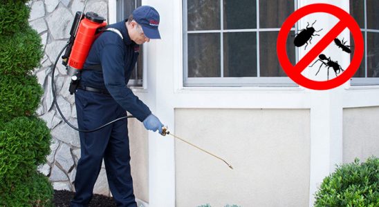 Kapaklı Kemirgen İlaçlama böcek ilaçlama ve haşere kontrolü — ilaclama-tr.com
